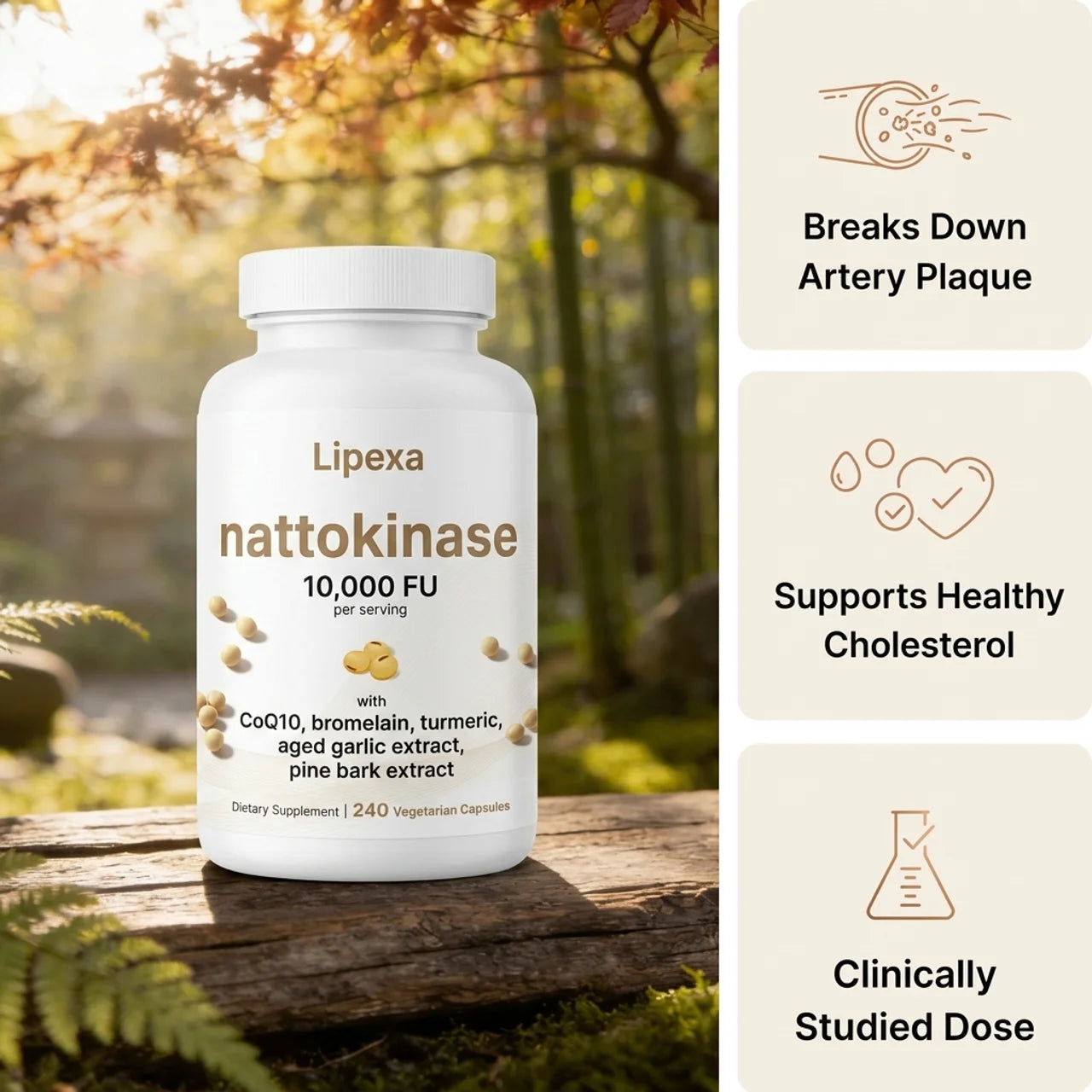 Lipexa Nattokinase - Dissolves the Hardened Plaque Trapped Inside Your Artery